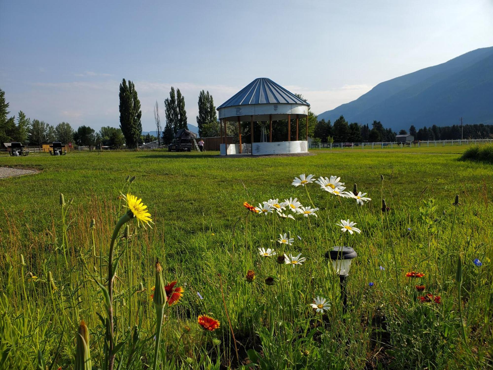 Glacier Acres Guest Ranch Columbia Falls Luaran gambar